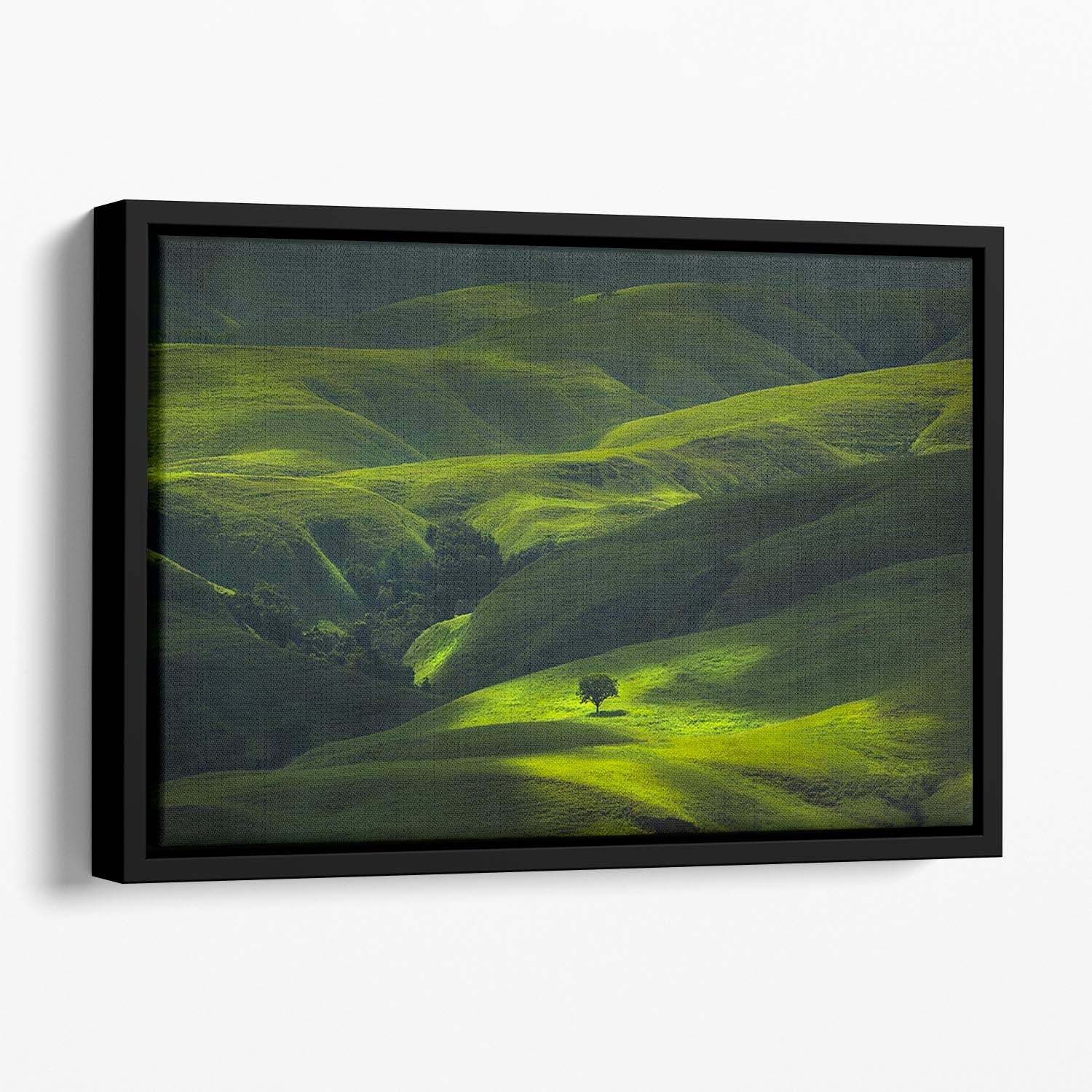 Savana Mamboro Floating Framed Canvas - Canvas Art Rocks - 1