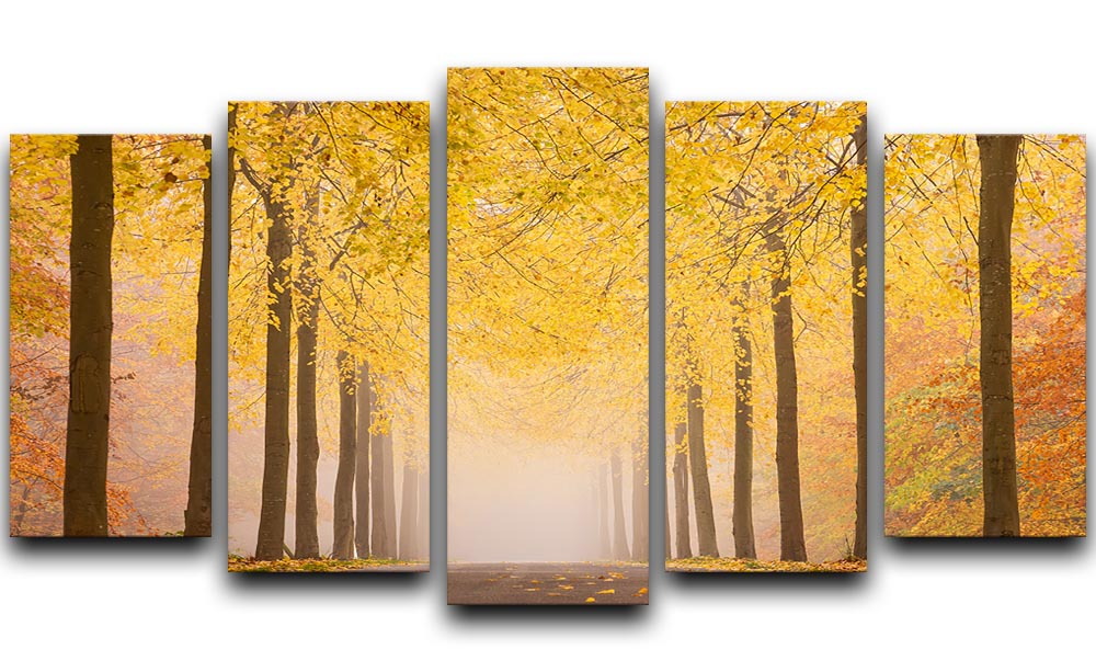 Autumn Road 5 Split Panel Canvas - Canvas Art Rocks - 1