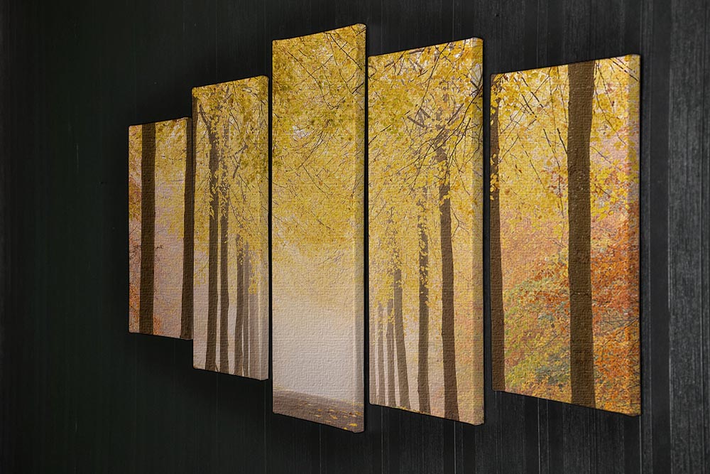 Autumn Road 5 Split Panel Canvas - Canvas Art Rocks - 2