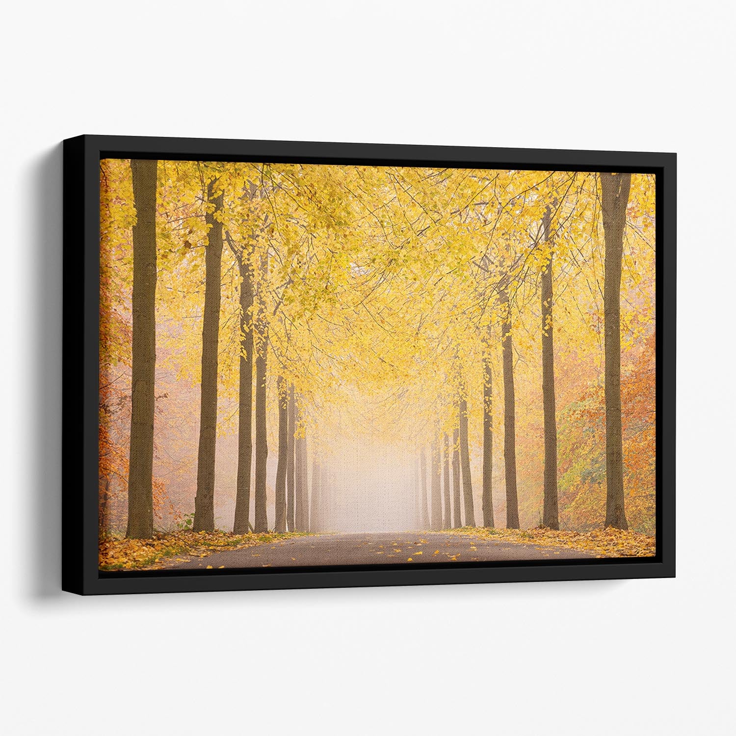 Autumn Road Floating Framed Canvas - Canvas Art Rocks - 1