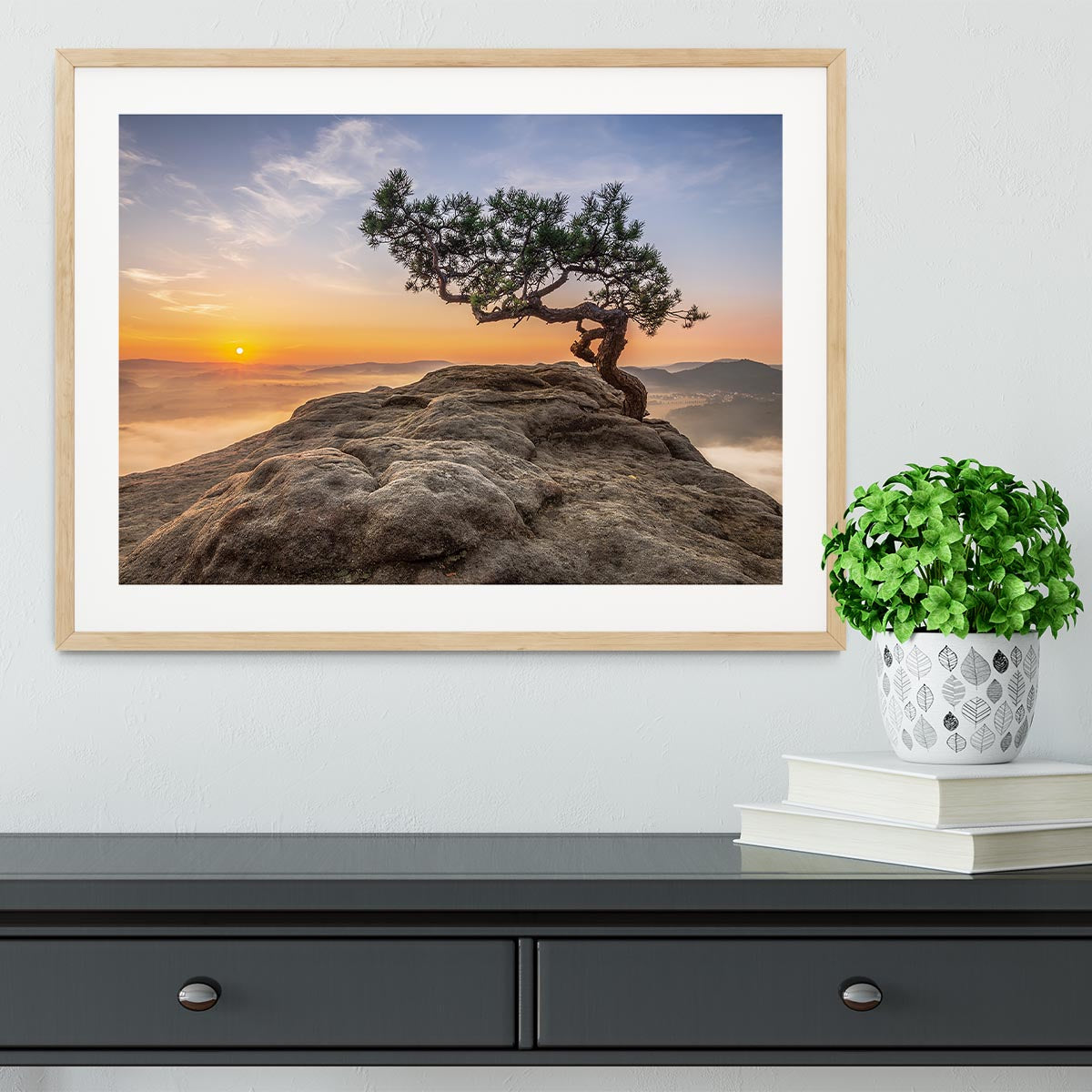 Old Pine Framed Print - Canvas Art Rocks - 3