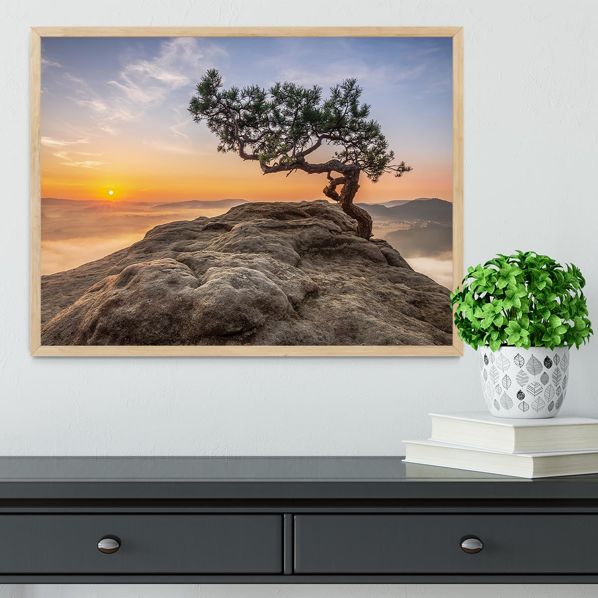 Old Pine Framed Print - Canvas Art Rocks - 4