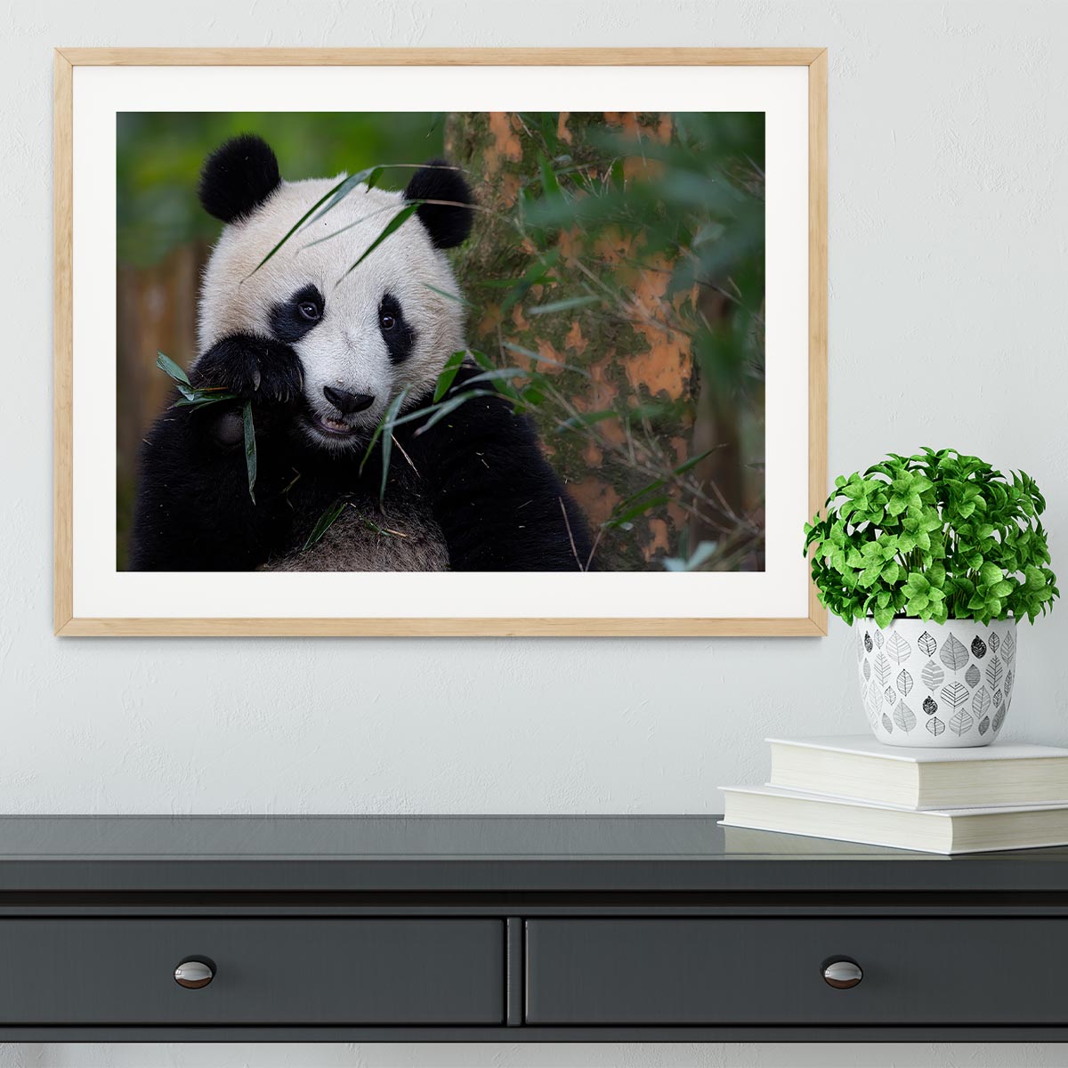 Bamboo Time Framed Print - 1x - 3