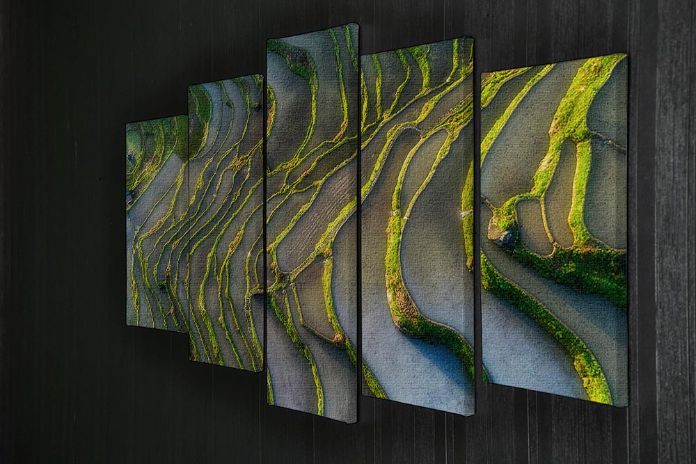 Terraced Fields 5 Split Panel Canvas - Canvas Art Rocks - 2