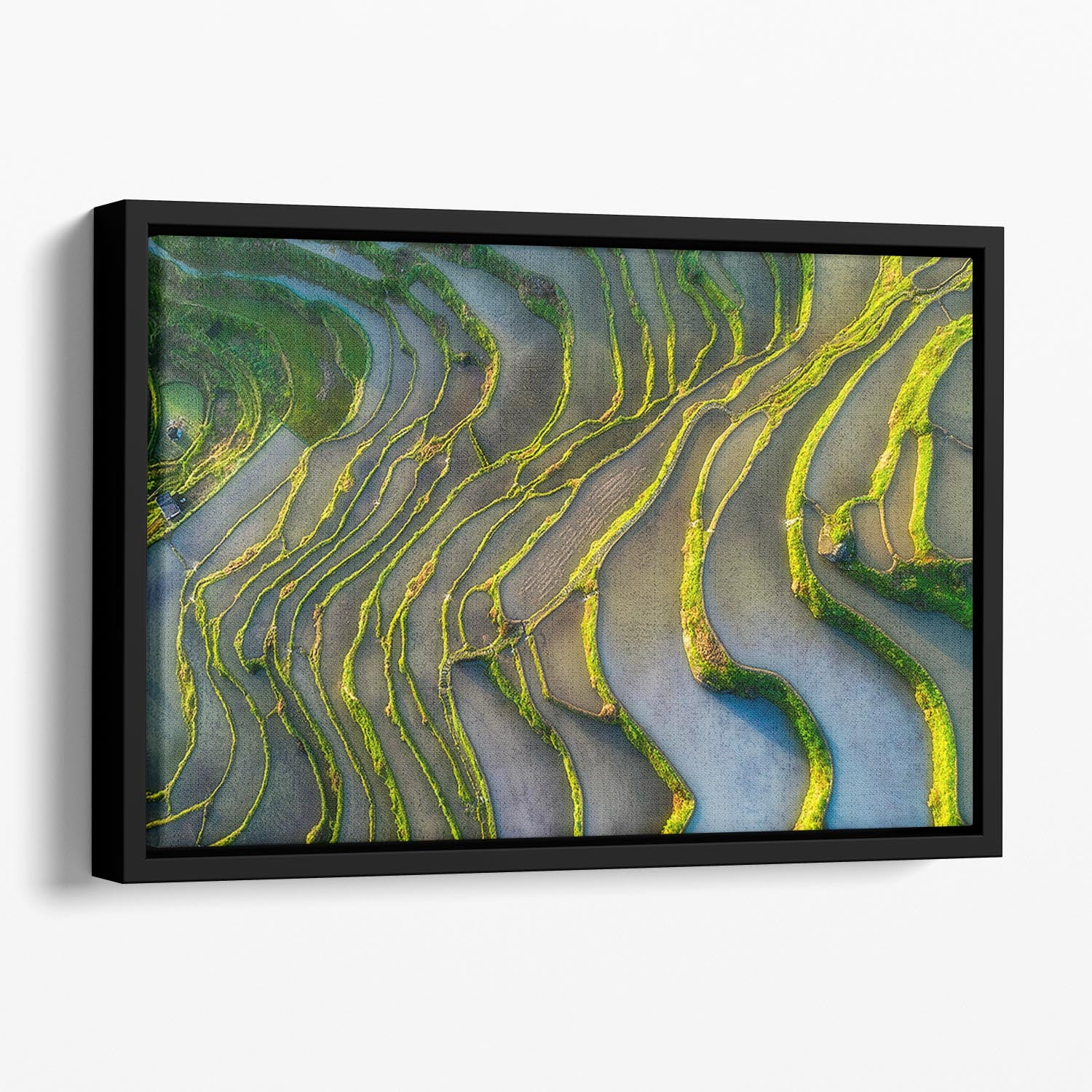 Terraced Fields Floating Framed Canvas - Canvas Art Rocks - 1