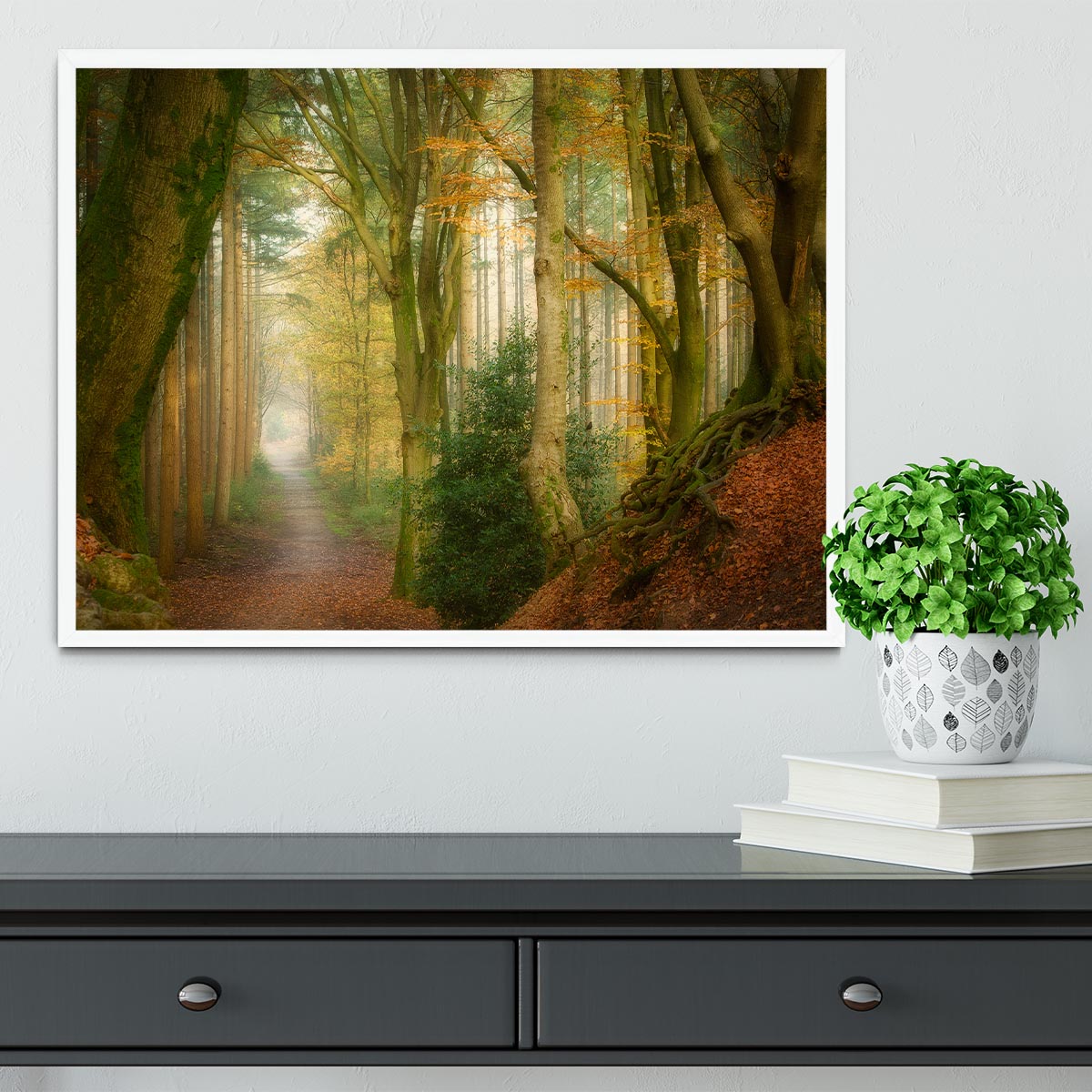 Following Fog Framed Print - Canvas Art Rocks -6