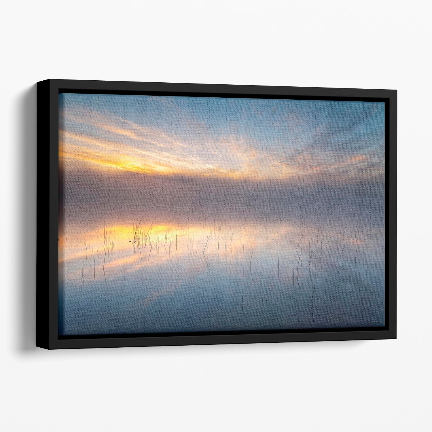 Reeds Floating Framed Canvas - Canvas Art Rocks - 1