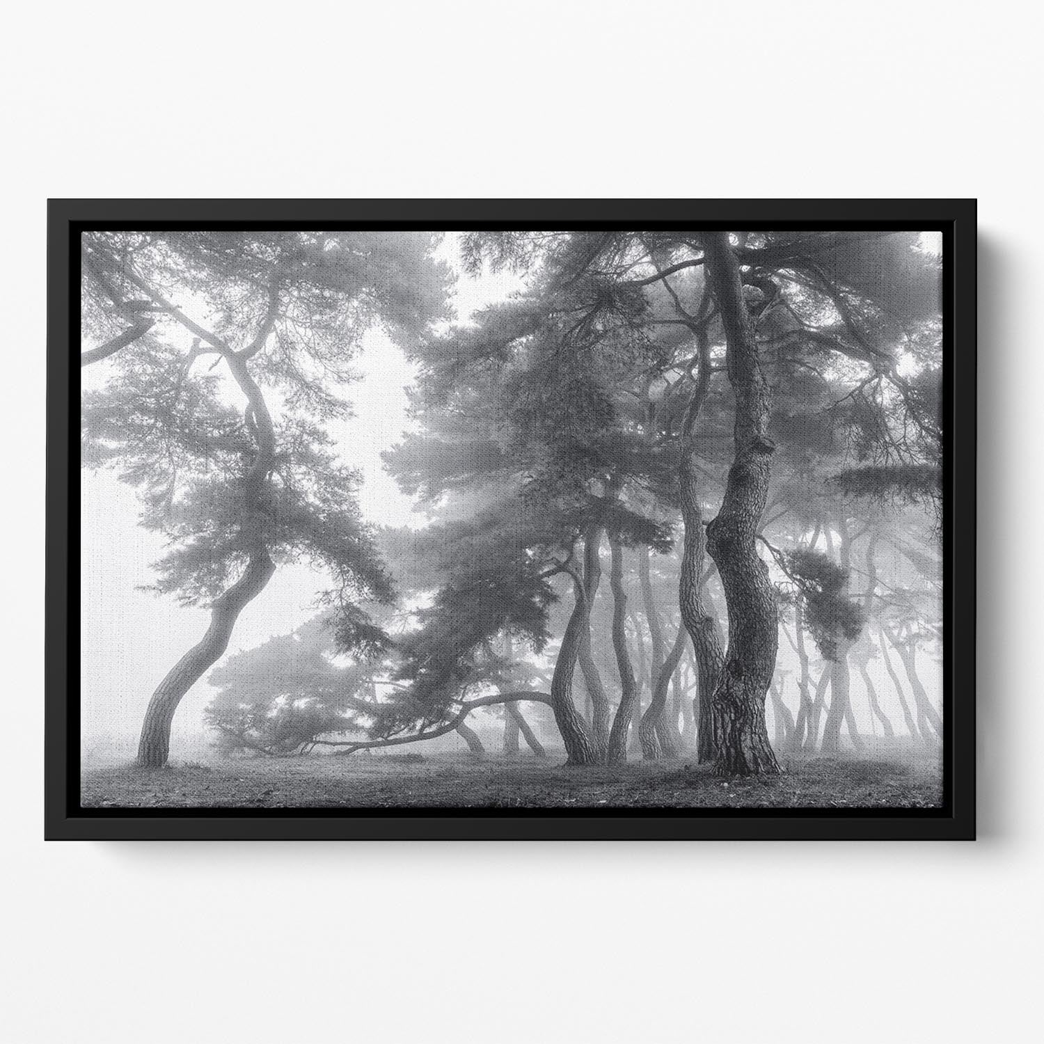 Endure For A Hundred Years Floating Framed Canvas - Canvas Art Rocks - 2