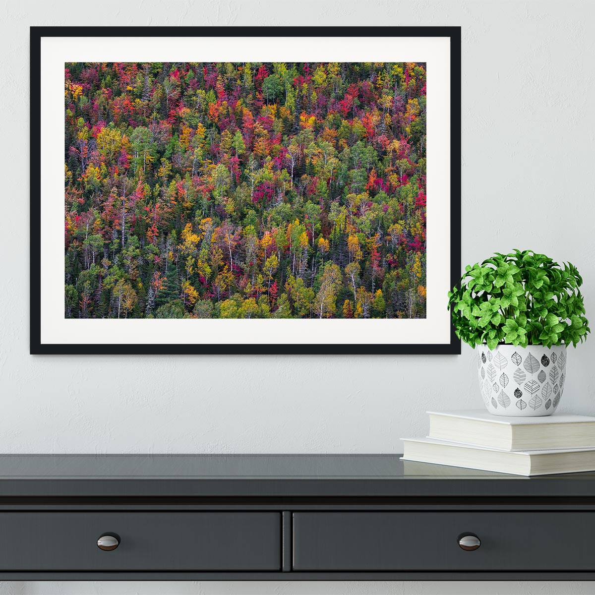 Color Palette Framed Print - Canvas Art Rocks - 1