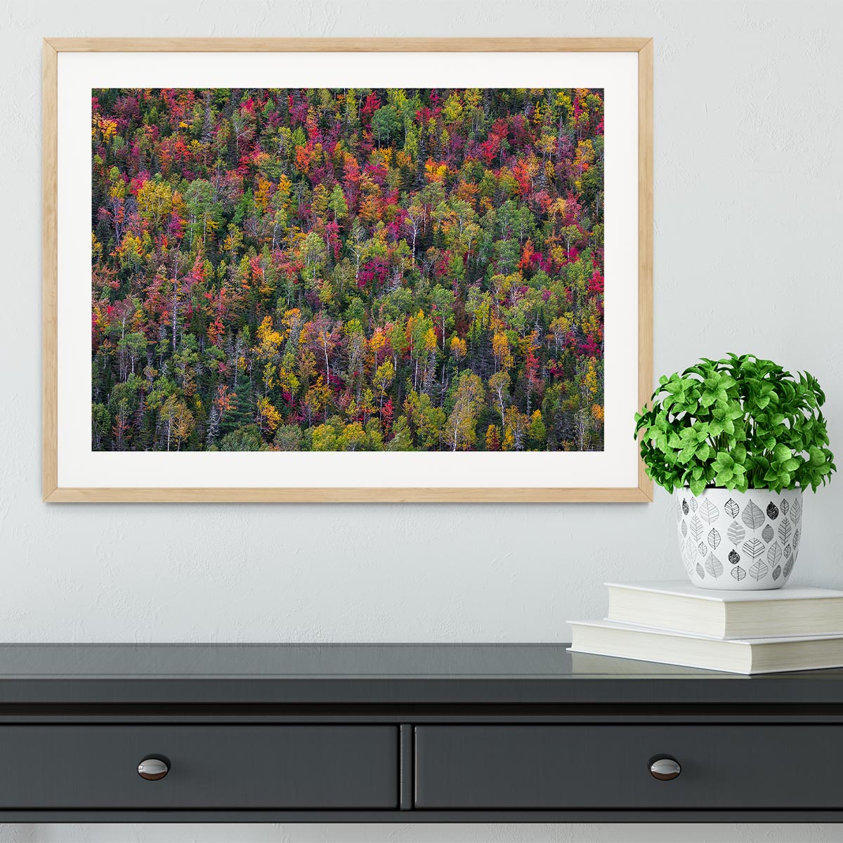 Color Palette Framed Print - Canvas Art Rocks - 3