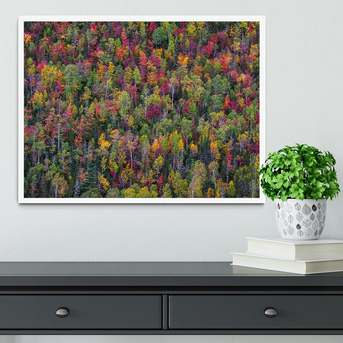 Color Palette Framed Print - Canvas Art Rocks -6