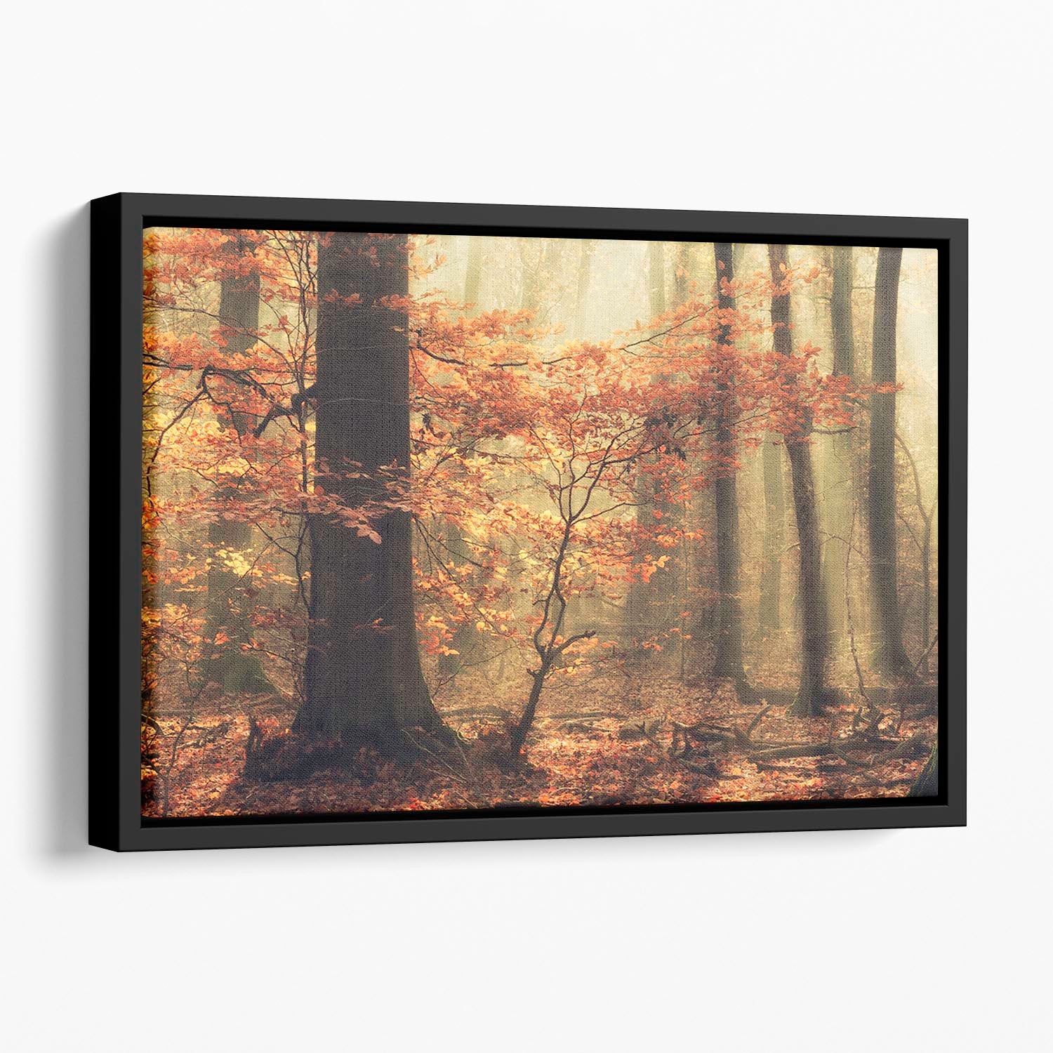 Soft Fall Floating Framed Canvas - Canvas Art Rocks - 1