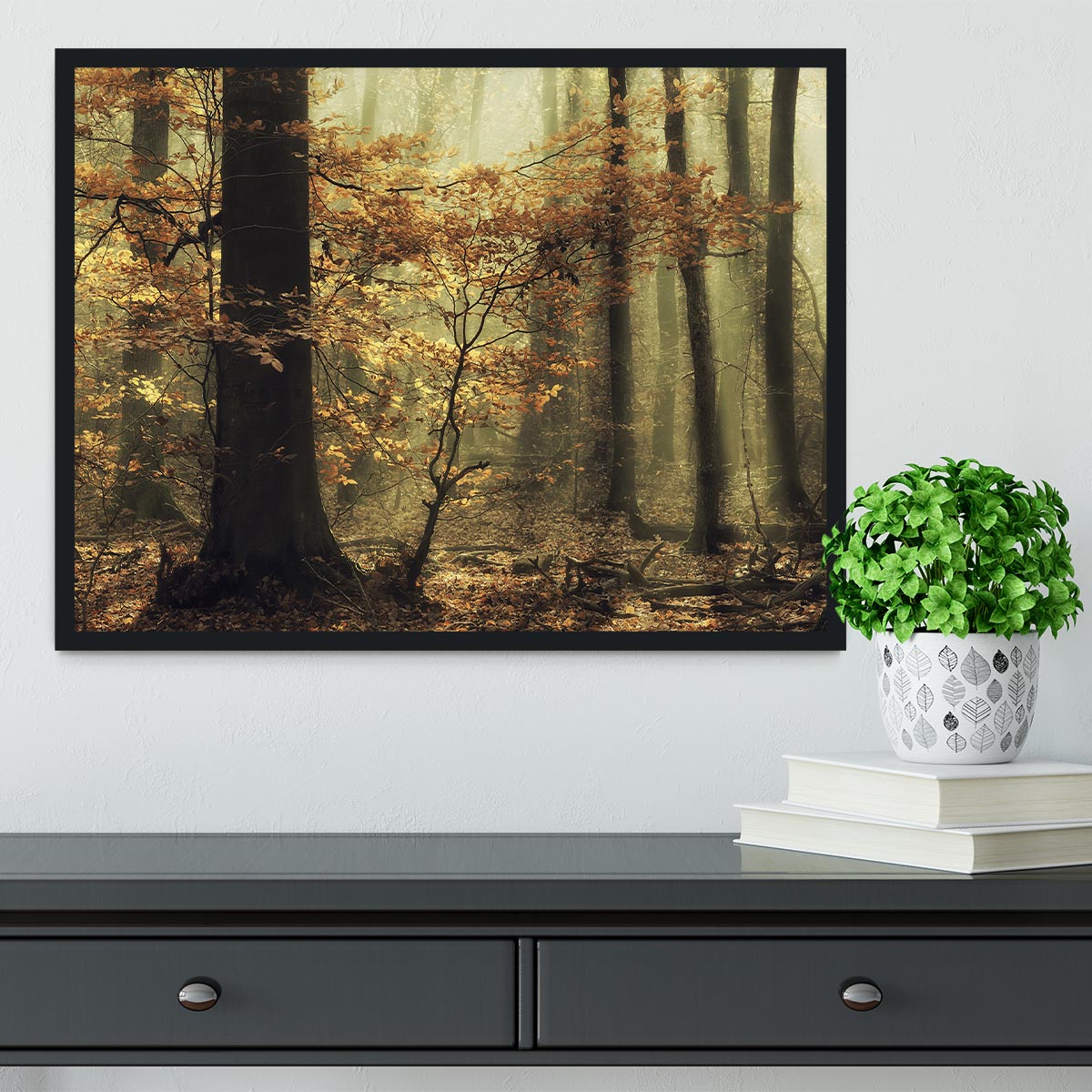 Soft Fall Framed Print - Canvas Art Rocks - 2