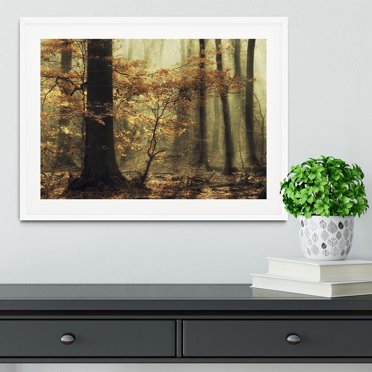 Soft Fall Framed Print - Canvas Art Rocks - 5