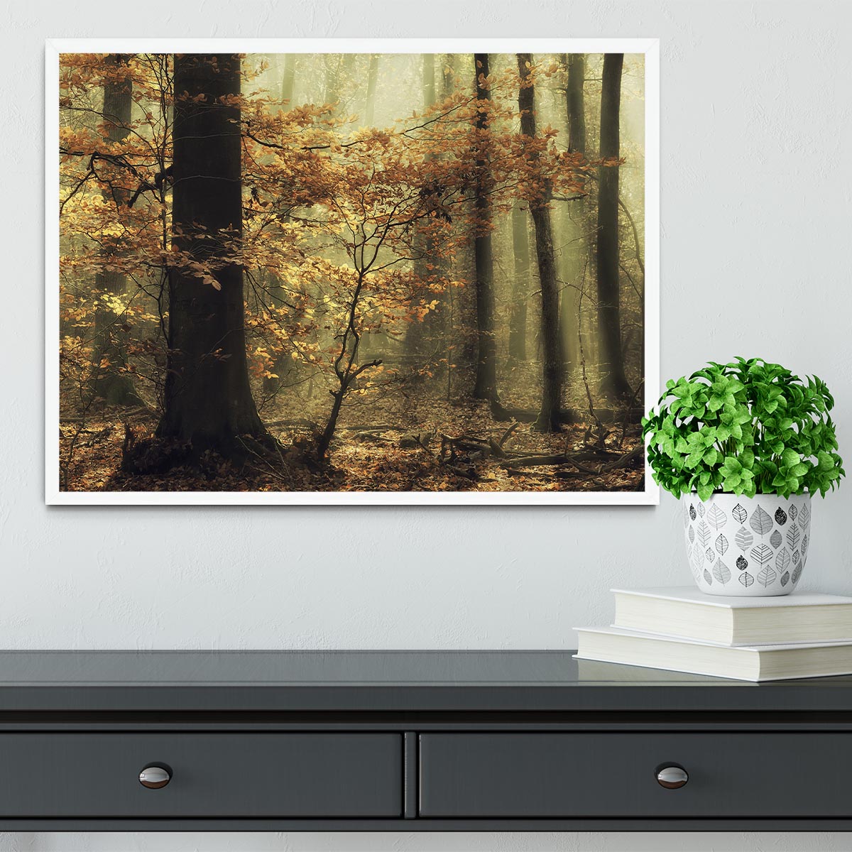 Soft Fall Framed Print - Canvas Art Rocks -6