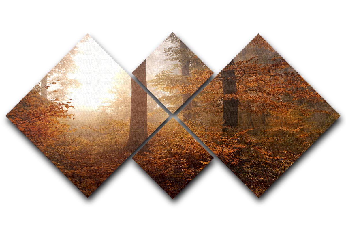 Autumn Trees 4 Square Multi Panel Canvas - Canvas Art Rocks - 1