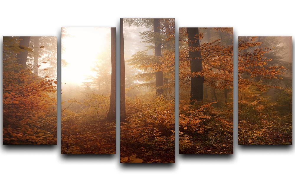 Autumn Trees 5 Split Panel Canvas - Canvas Art Rocks - 1