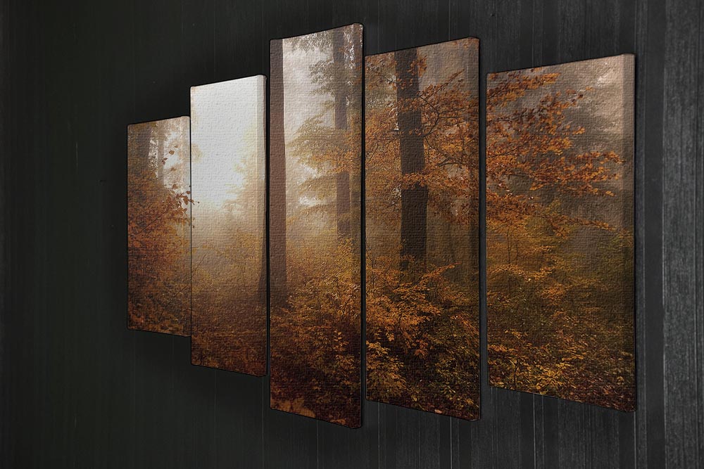 Autumn Trees 5 Split Panel Canvas - Canvas Art Rocks - 2