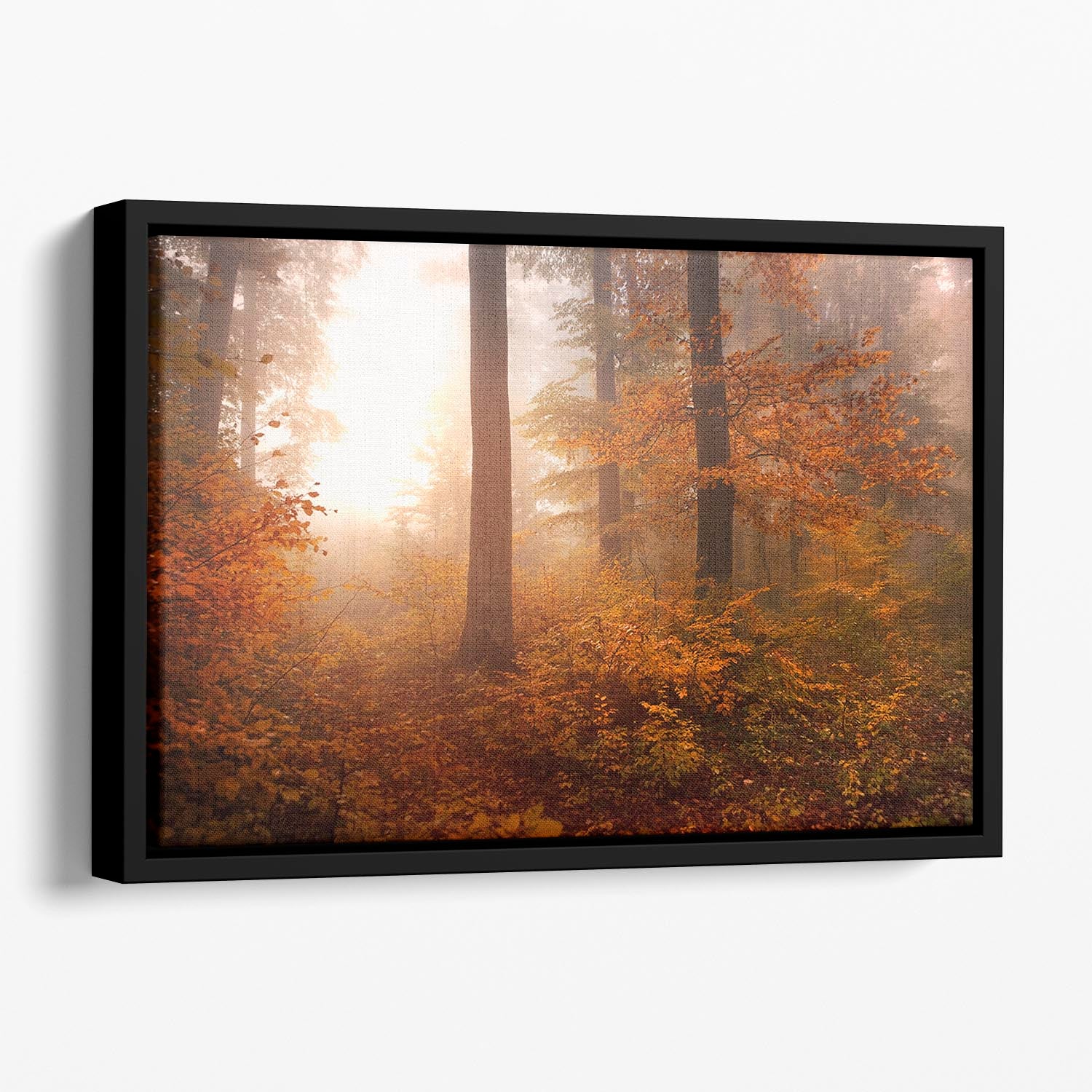 Autumn Trees Floating Framed Canvas - Canvas Art Rocks - 1