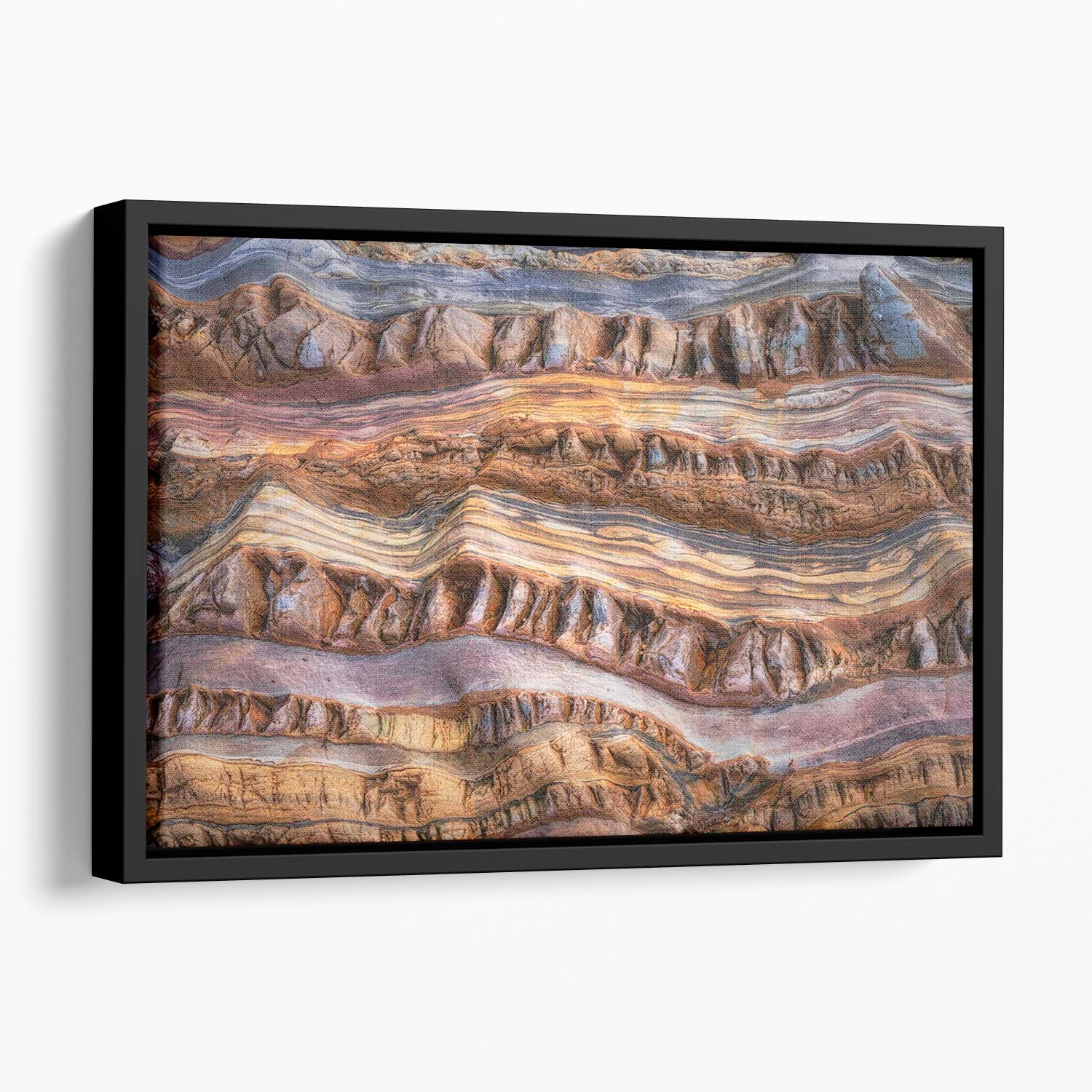 Abstractions In Nature Floating Framed Canvas - Canvas Art Rocks - 1