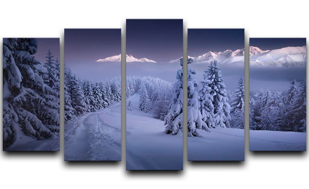 In The Winter 5 Split Panel Canvas - Canvas Art Rocks - 1