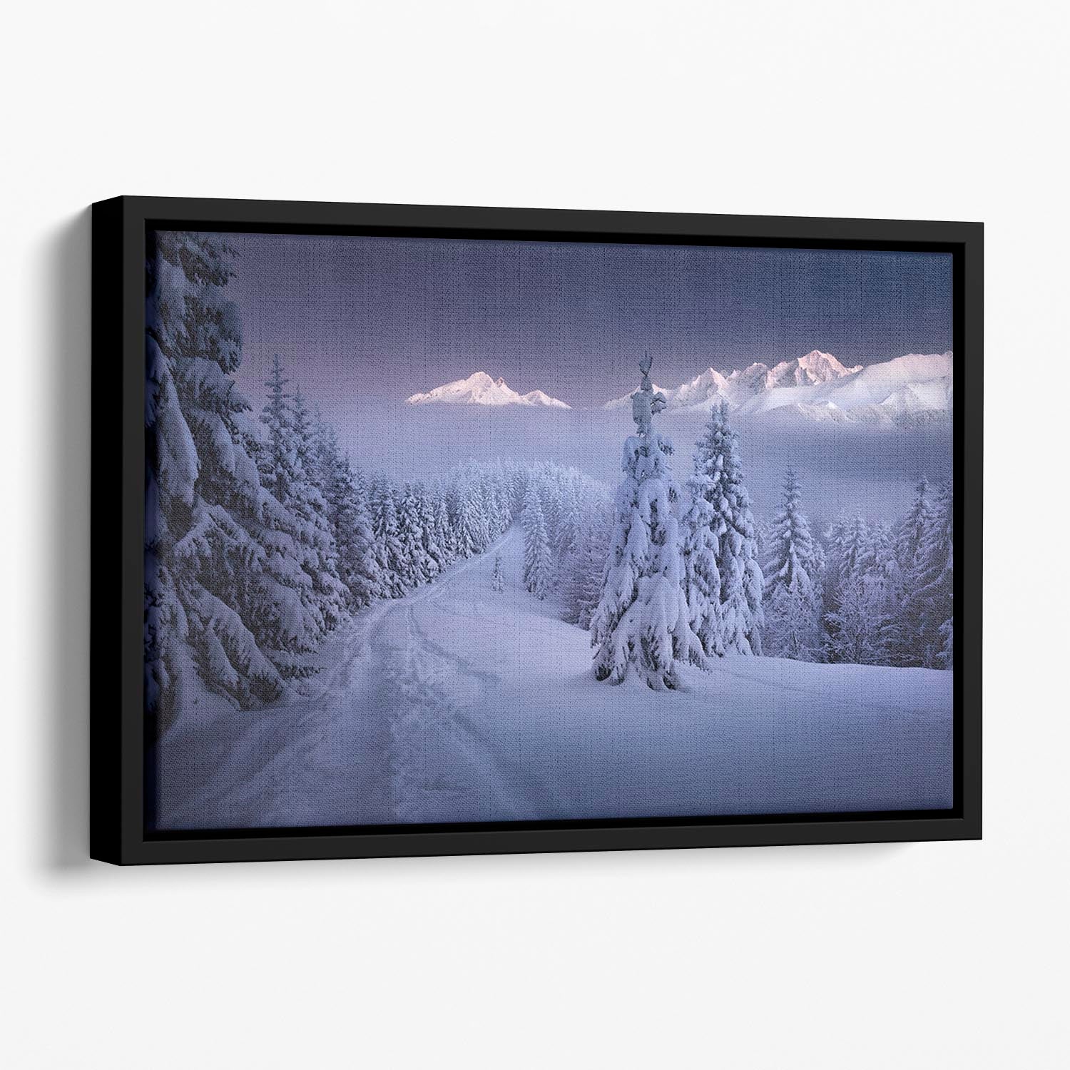 In The Winter Floating Framed Canvas - Canvas Art Rocks - 1