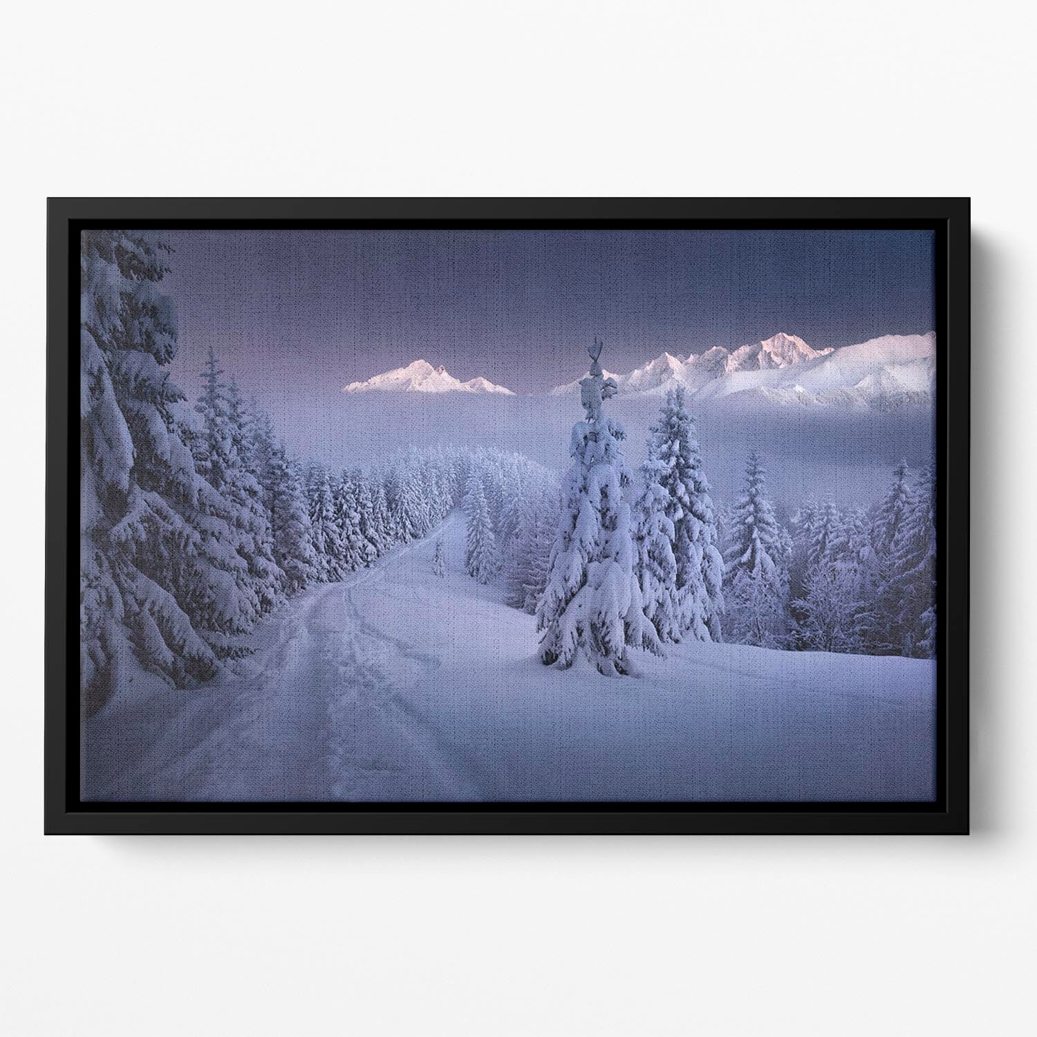 In The Winter Floating Framed Canvas - Canvas Art Rocks - 2