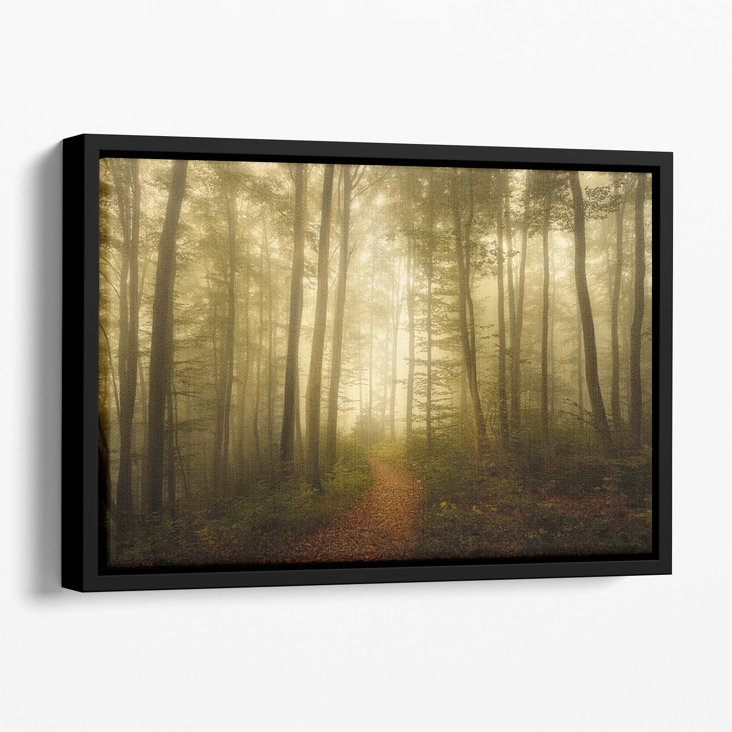 Charm Of The Ephemeral Floating Framed Canvas - Canvas Art Rocks - 1