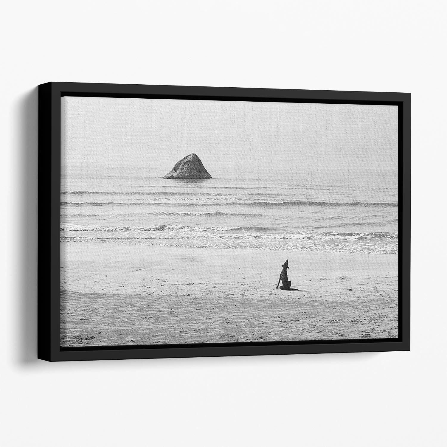 Baying Rocks Floating Framed Canvas - Canvas Art Rocks - 1