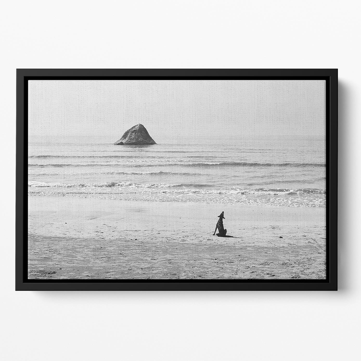 Baying Rocks Floating Framed Canvas - Canvas Art Rocks - 2