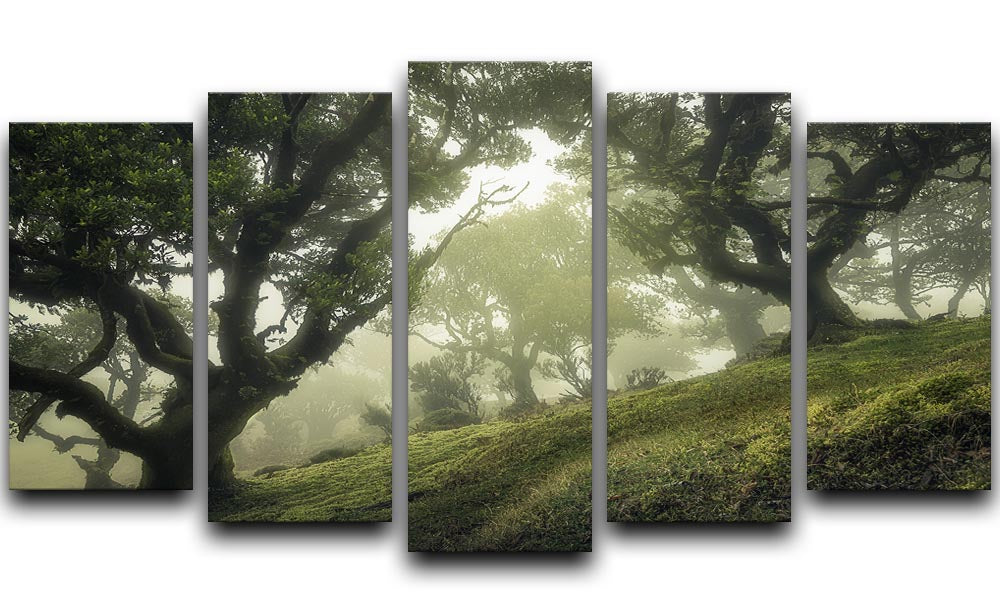 Enchanted Forest 5 Split Panel Canvas - Canvas Art Rocks - 1