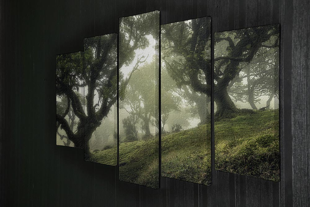 Enchanted Forest 5 Split Panel Canvas - Canvas Art Rocks - 2