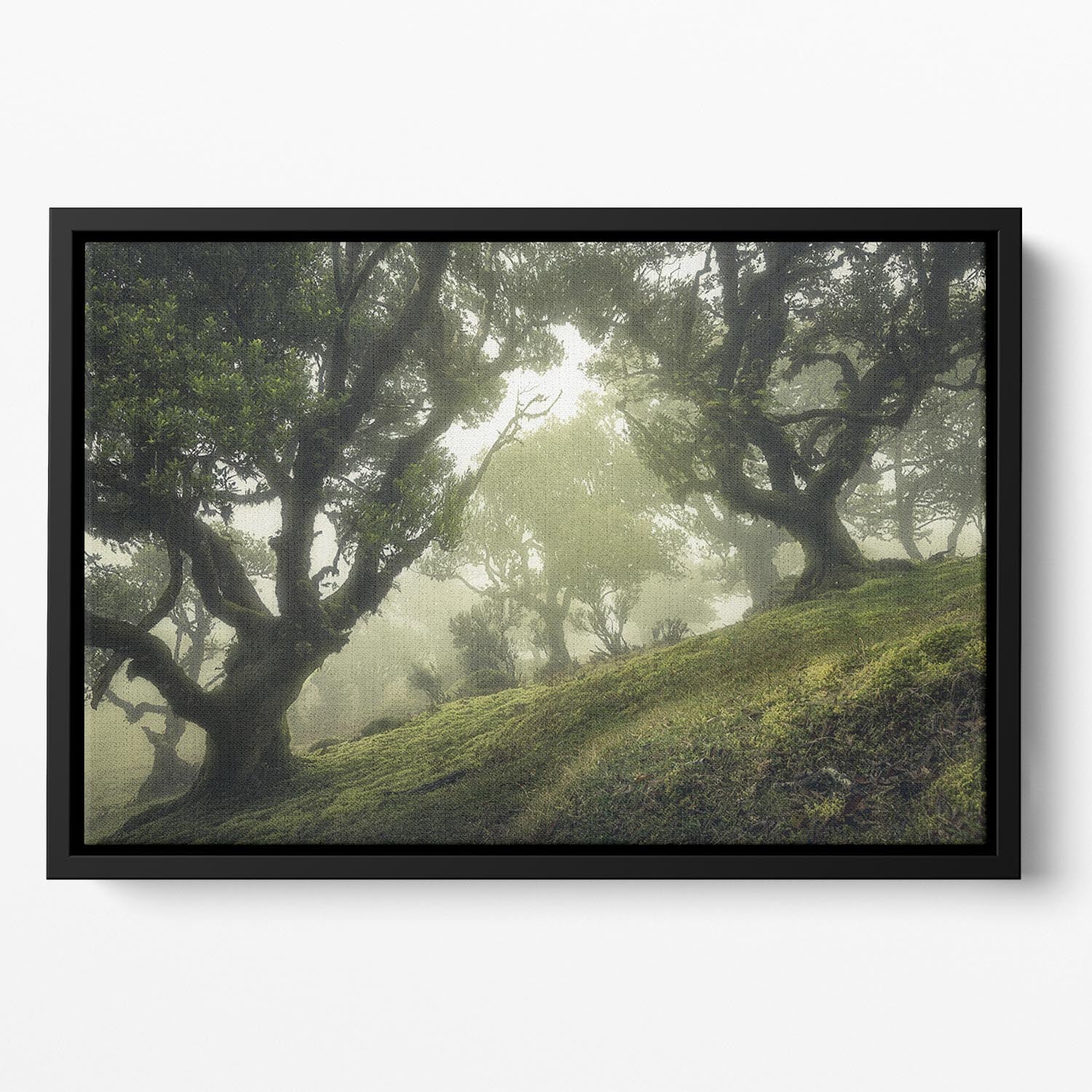 Enchanted Forest Floating Framed Canvas - Canvas Art Rocks - 2