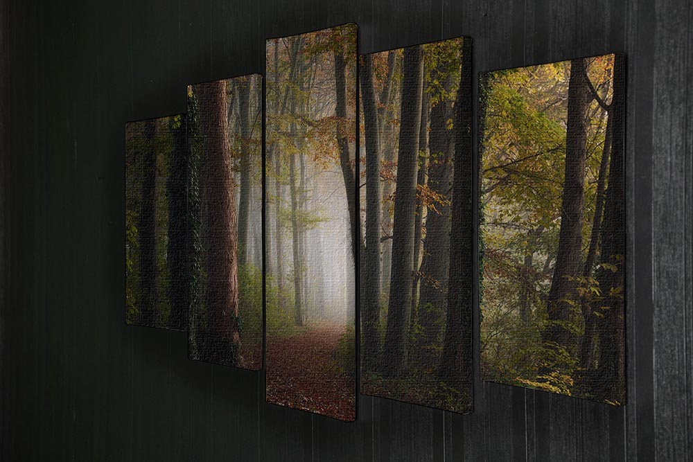 Autumn Colorful Forest 5 Split Panel Canvas - Canvas Art Rocks - 2