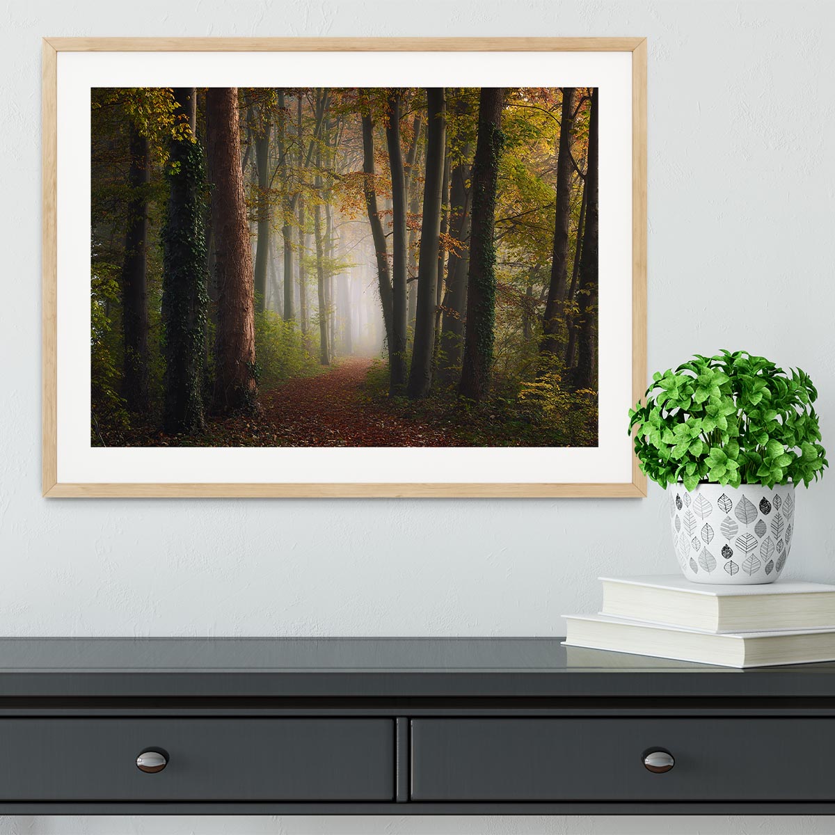 Autumn Colorful Forest Framed Print - Canvas Art Rocks - 3