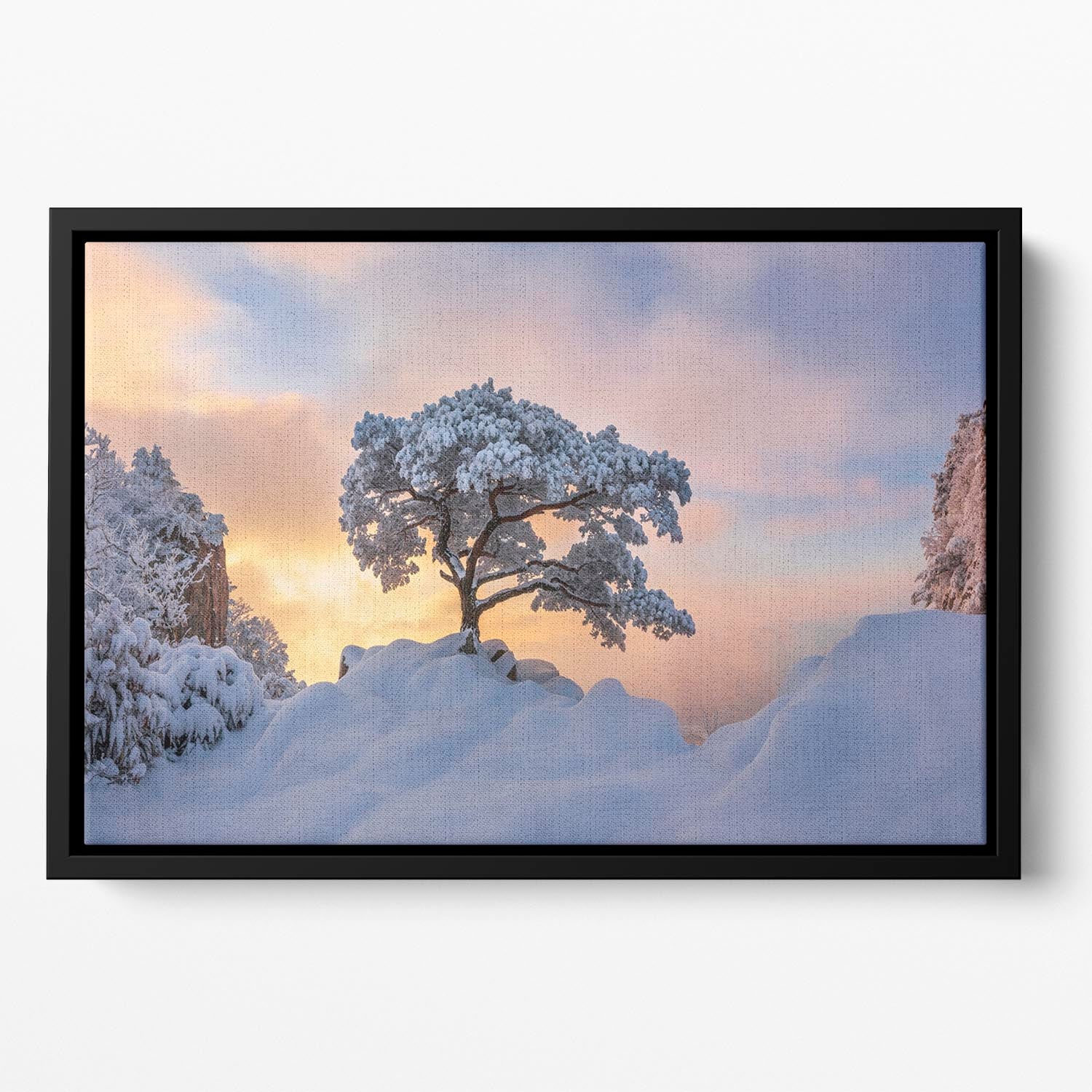 Cold Loner Floating Framed Canvas - Canvas Art Rocks - 2