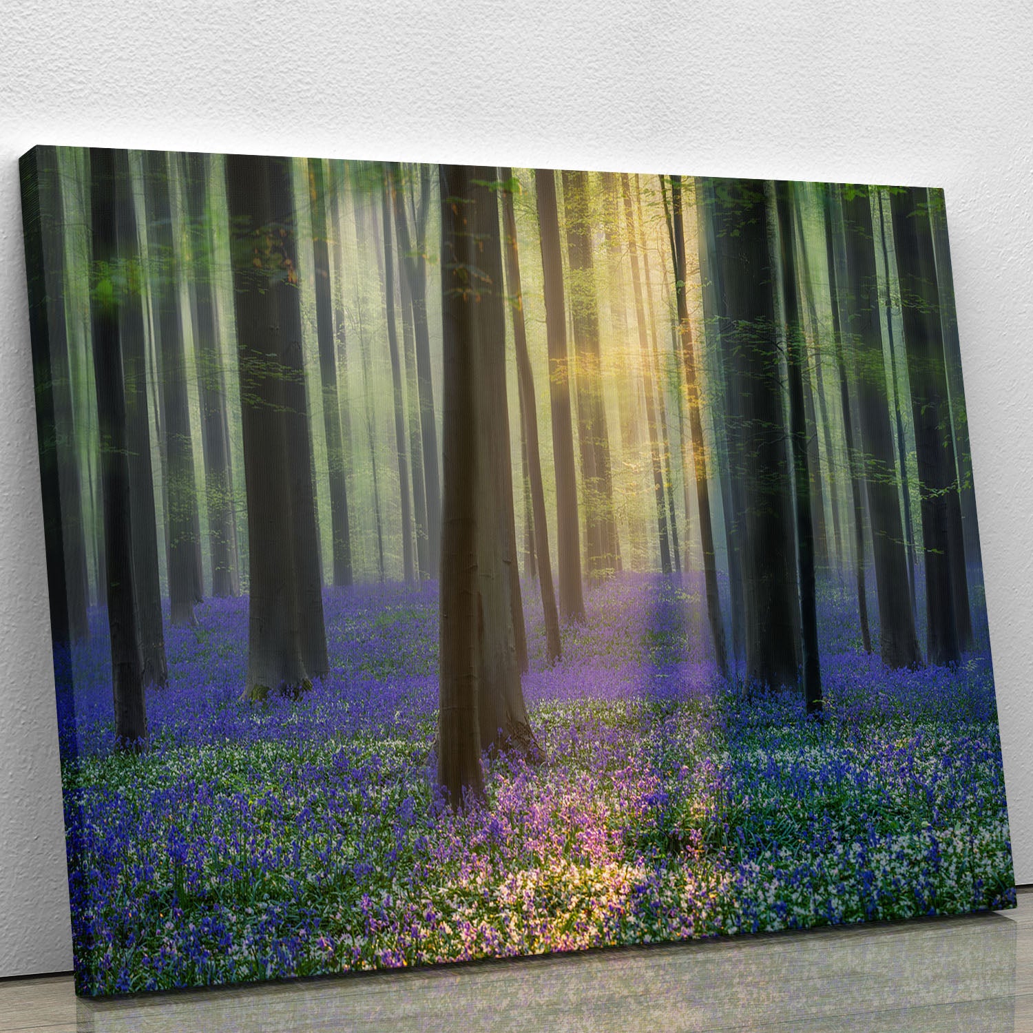 Daydreaming Of Bluebells Canvas Print or Poster - Canvas Art Rocks - 1