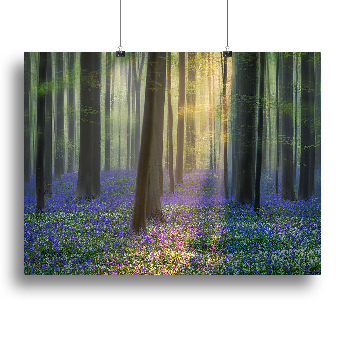 Daydreaming Of Bluebells Canvas Print or Poster - Canvas Art Rocks - 2