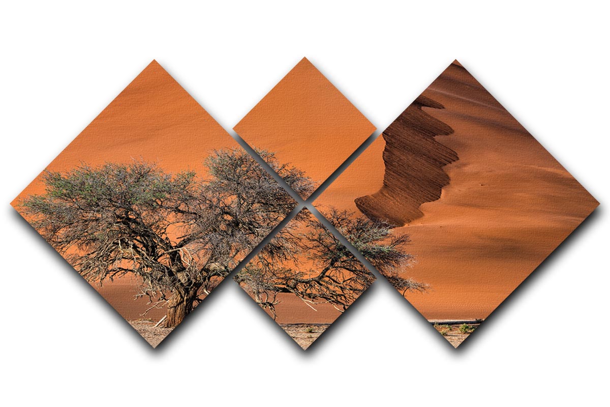 Acacia In The Desert 4 Square Multi Panel Canvas - Canvas Art Rocks - 1