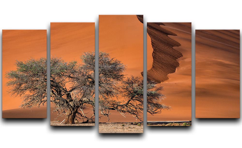 Acacia In The Desert 5 Split Panel Canvas - Canvas Art Rocks - 1