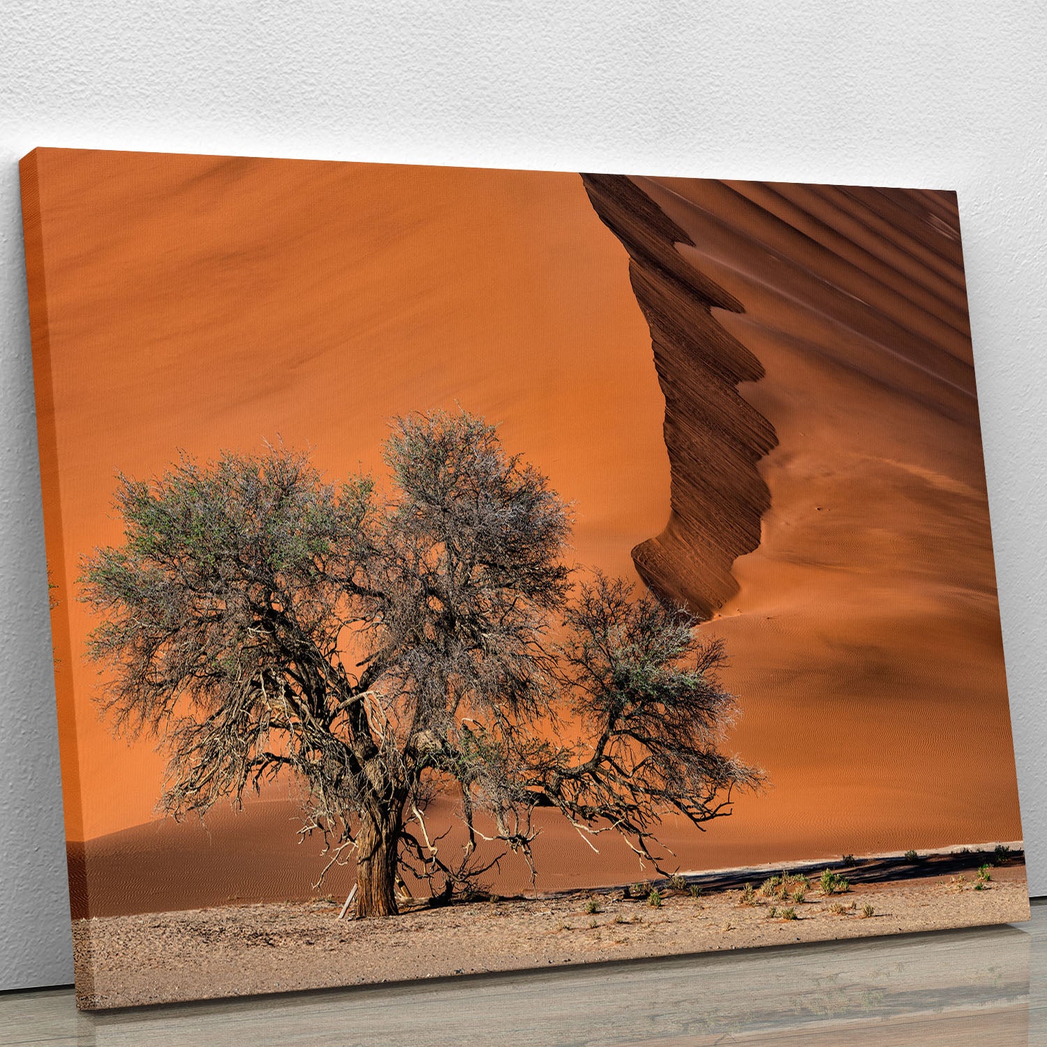 Acacia In The Desert Canvas Print or Poster - Canvas Art Rocks - 1