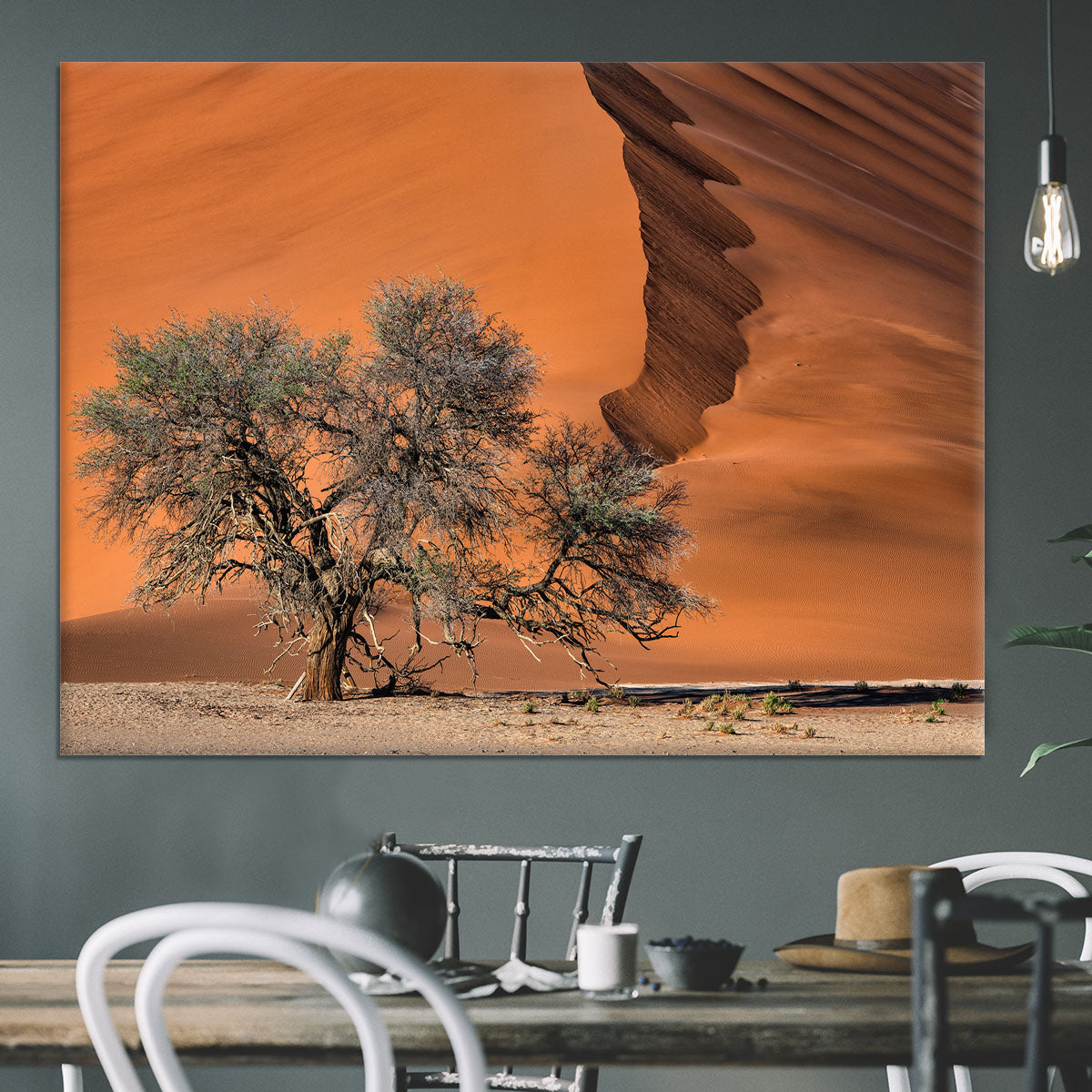 Acacia In The Desert Canvas Print or Poster - Canvas Art Rocks - 3