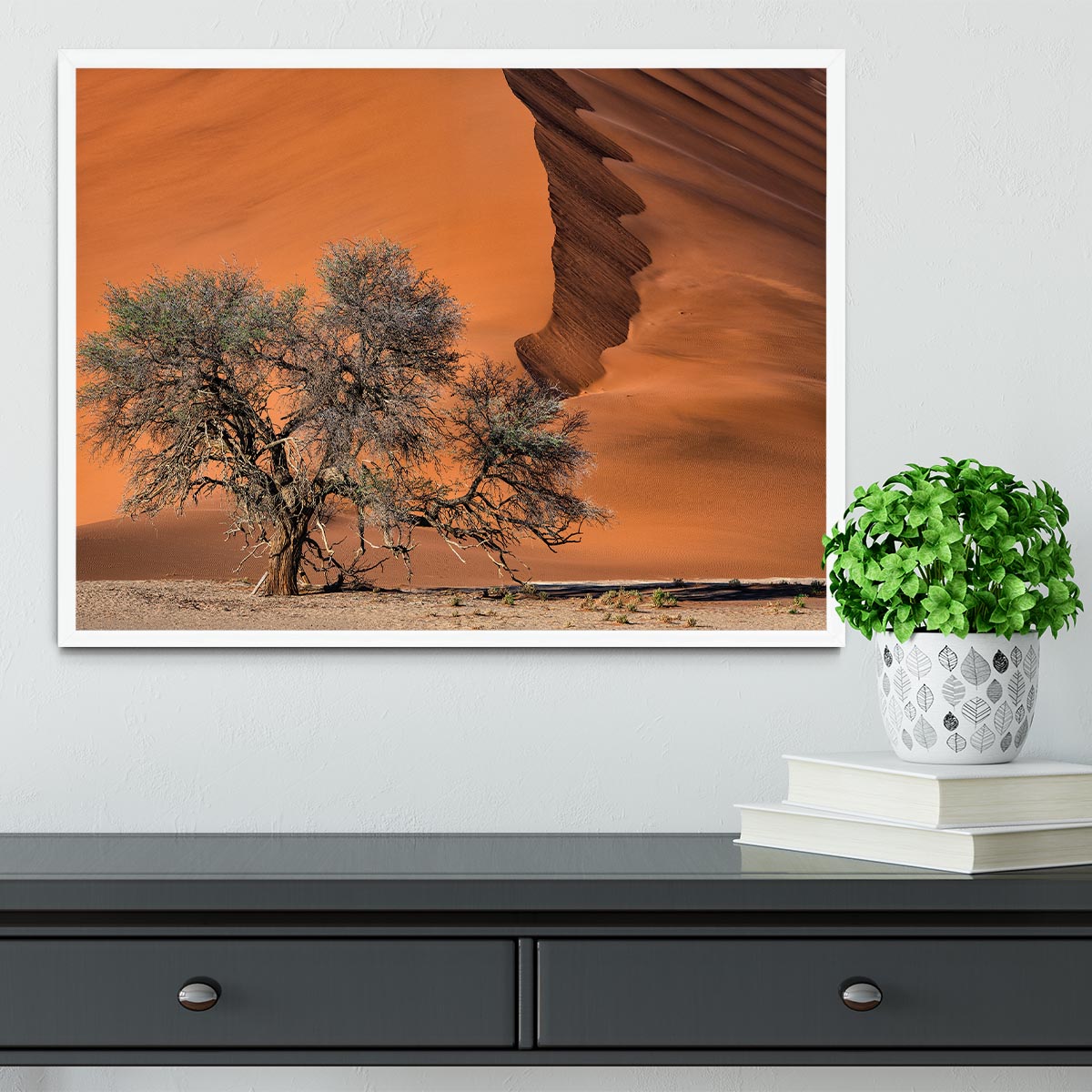 Acacia In The Desert Framed Print - Canvas Art Rocks -6