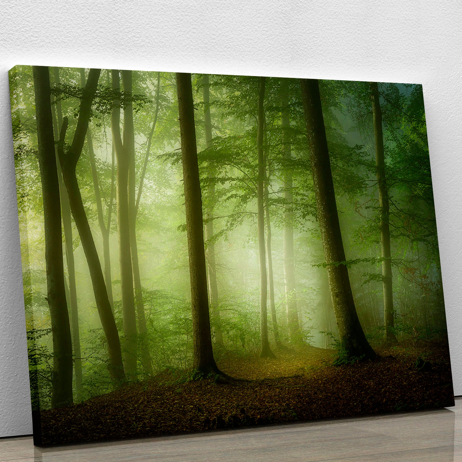 Mysterious Spring Morning Canvas Print or Poster - Canvas Art Rocks - 1