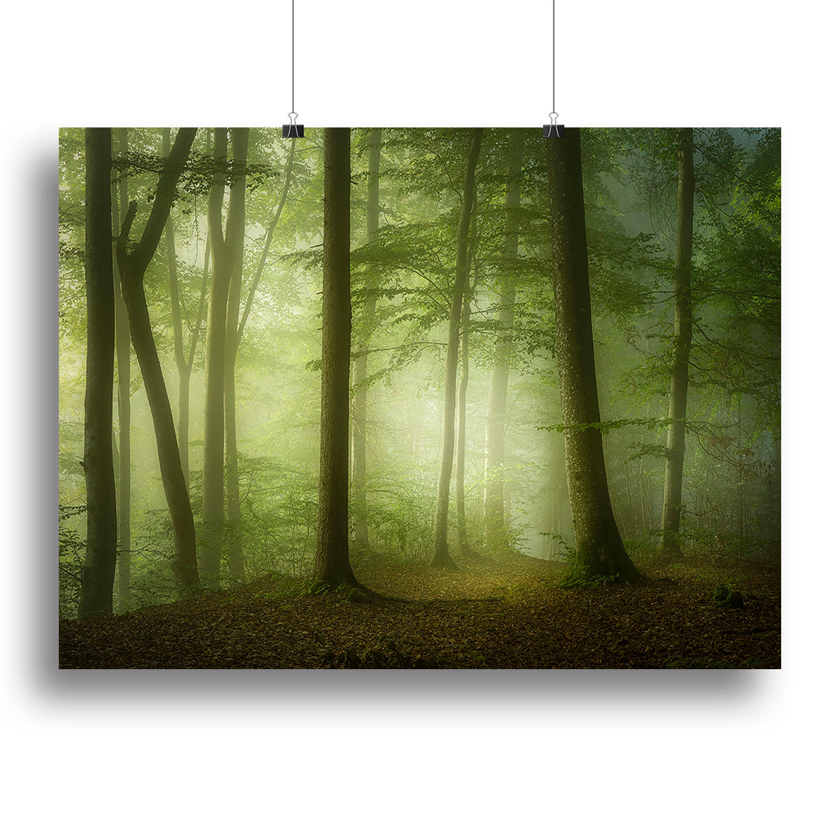Mysterious Spring Morning Canvas Print or Poster - Canvas Art Rocks - 2
