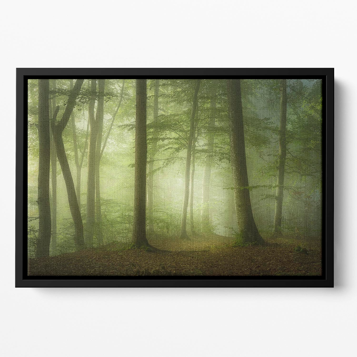 Mysterious Spring Morning Floating Framed Canvas - Canvas Art Rocks - 2