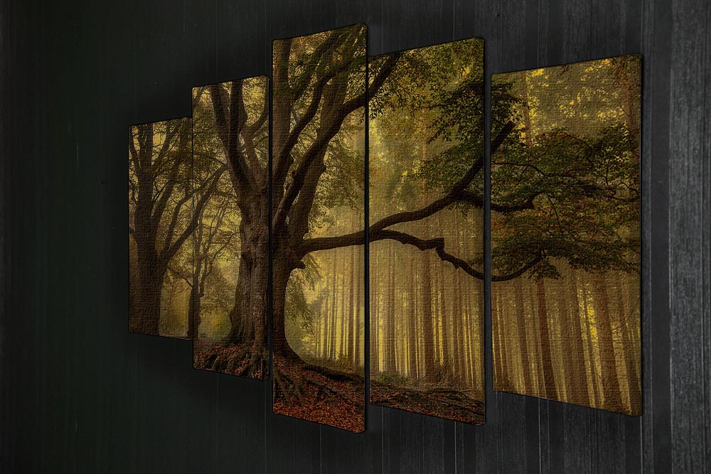 Old Tree 5 Split Panel Canvas - Canvas Art Rocks - 2