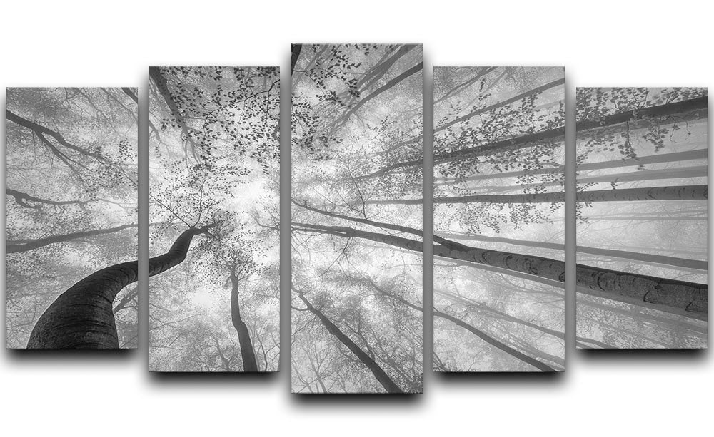 Spring Crown Of Trees 5 Split Panel Canvas - Canvas Art Rocks - 1