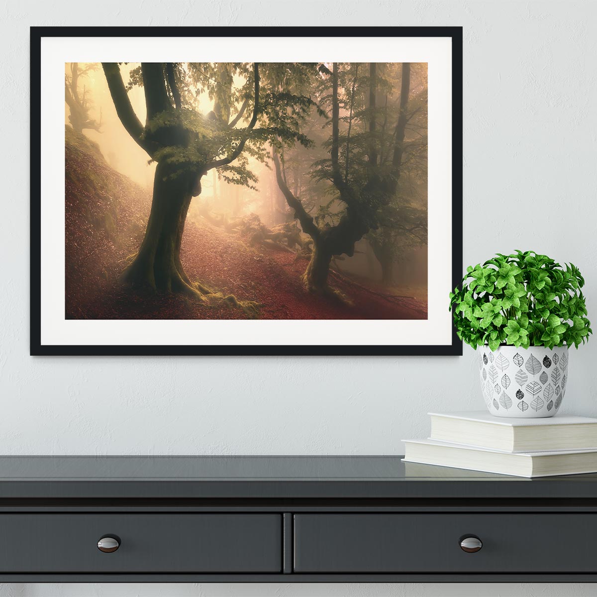 Fangorn Forest Framed Print - Canvas Art Rocks - 1