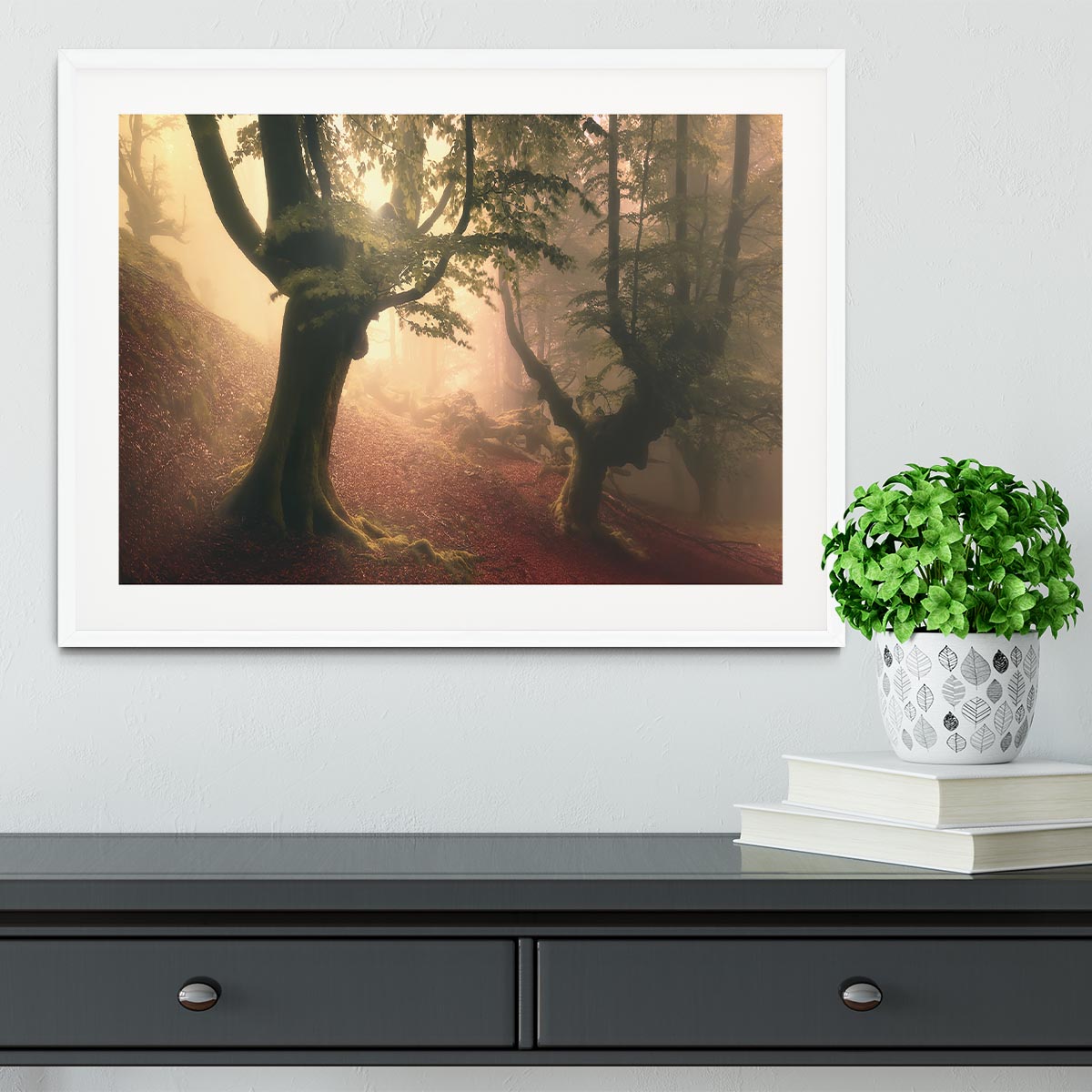 Fangorn Forest Framed Print - Canvas Art Rocks - 5